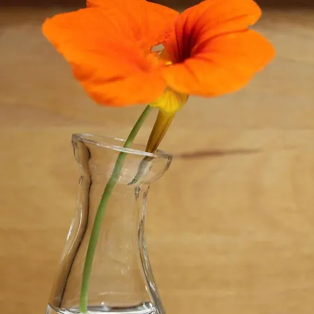 La Grange Du Couvent Alojamento de Acomodação e Pequeno-almoço